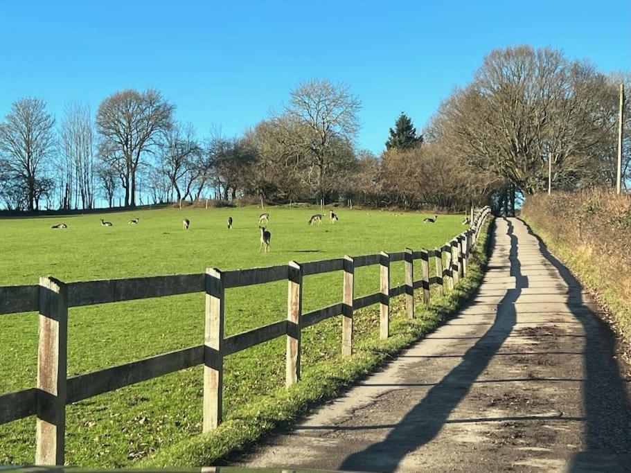 Arniss Farmhouse Fordingbridge Buitenkant foto